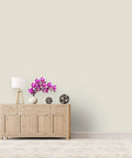 Room painted in Signature Interior Exterior Eco Friendly Paint Snow White Low Sheen 1 Gallon with a wooden cabinet.