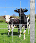 Cattle Fence 4ft By 328ft Heavy Duty Galvanized Wire And Chain Link Fence For Hog Goat Sheep And Deer Livestock Yard Protection