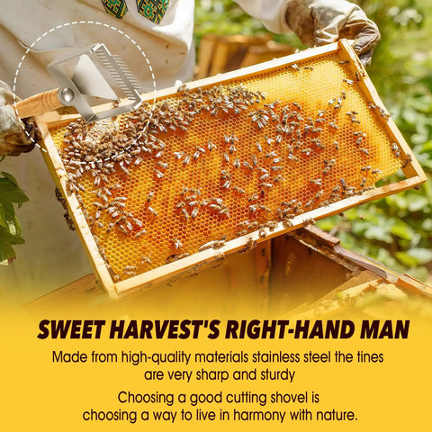 2-In-1 Beekeeping Uncapping Fork And Scraper Tool demonstration on honeycomb in a bee hive