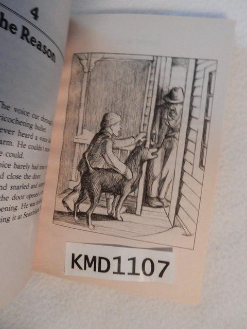Illustration from Dogged Dash For The Farm: A Gutsy, Heartfelt Tale Of Willy And His Loyal Dogs showing Willy on a porch with his dog.