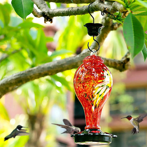 Hand Blown Glass Hummingbird Feeder With Ant Moat, 36 Fluid Ounces, Five Feeding Stations, Bold Red Color hanging outdoors