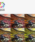 Image of six landscape photos showing color differences with 6 Axis Color Adjustment text, illustrating color adjustment feature.