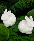 Two Pieces Rabbit Shaped Ceramic Toilet Bolt Covers Set For Bathroom Decor, white bunny design on green background