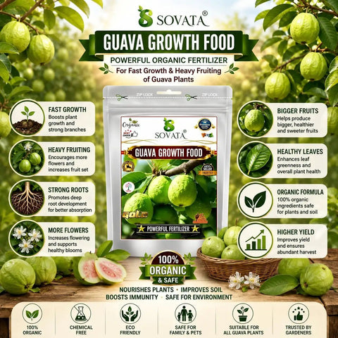 Guava Growth Food Organic Fertilizer For Fast Growth And Heavy Fruiting 200 G With Nitrogen Phosphorus Potassium And Microorganisms For Big Yields In Your Home Garden, pouch