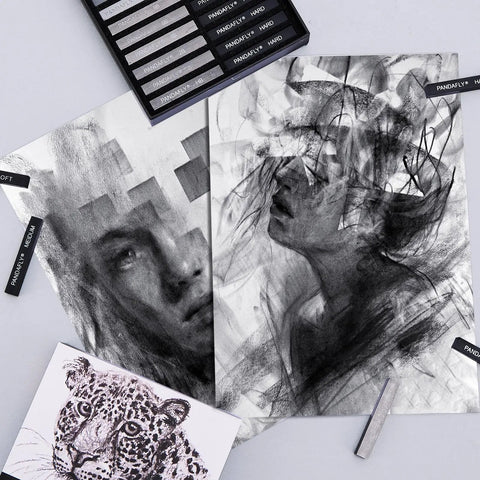 Compressed Charcoal Sticks Set 24 Pack Black And White Vine Charcoal for Drawing Sketching and Shading Ideal for Portraits and Art Projects