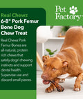 Dog chewing Real Chewz Pork Femur Bone Dog Chew 6 to 8 Inches, green product info beside the dog