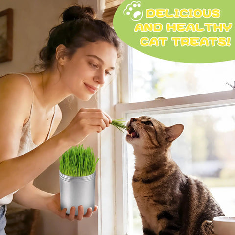 Woman feeding cat with 4 Pack Cat Grass Seeds Kit For Indoor Cats Easy Grow Cat Grass Kit With Fast Germination.