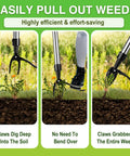 Stand Up Weed Puller With Long Handle, Detachable Four Section Pole, Stainless Steel Four Claw Head in use on grass