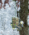 Outdoor Suet Bird Feeder Hanging Basket attracting woodpeckers and nuthatches on tree trunk in snowy garden