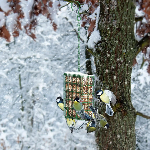 Outdoor Suet Bird Feeder Hanging Basket attracting woodpeckers and nuthatches on tree trunk in snowy garden