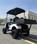 Two Seater Electric Golf Cart With 48V Lithium Battery And Heavy Duty Plastic Bed Powered By A Badass 4Kw Motor shown from rear angle on a wide street.