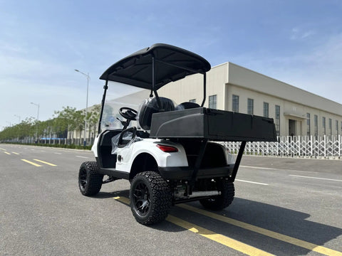 Two Seater Electric Golf Cart With 48V Lithium Battery And Heavy Duty Plastic Bed Powered By A Badass 4Kw Motor shown from rear angle on a wide street.