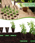 Biodegradable Seed Starter Tray Kit with 120 Cell Trays showing seed growth stages from seeding to transplanting