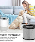 Woman with dog near MyAir purifier and filter, Air Filter Replacement Bundle For MyAir Personal Purifier 2780A 2780B 2780P 27809 3329 Pack Of 4 Easy Swap Filters For Fresh Air Cost Effective Filtration For Home Office Use.