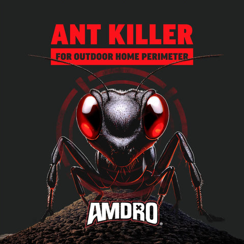 Ant Killer For Outdoor Home Perimeter 24 Oz Black Label Kills 25 Ant Species Including Carpenter Argentine Odorous House Pavement