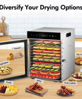 Top Shelf Heavy Duty Food Dehydrator With 12 Sleek Stainless Steel Trays, displaying dried fruits, jerky, vegetables, and herbs.