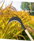 Beefy Hand Scythe With Long Handle For Easy Weeding In The Garden Manganese Steel Blade in field near wheat
