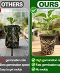 Comparison of two plants: one in a moldy soil plug, the other thriving in 50 Pcs Rooting Sponges And Starter Plugs For Seedlings Or Cuttings.