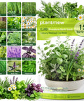 15 Pack Herb Seeds Set With 4500 Plus Non GMO Heirloom Seeds For Indoor And Outdoor Gardening Including Kickin Basil Cilantro Rosemary Thyme Dill Sage Oregano And More Culinary And Medicinal Herb Seed Variety Pack