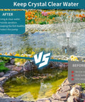 Pond with 8W Solar Pond Filter and Water Pump for clear water setup, showcasing before and after effects.