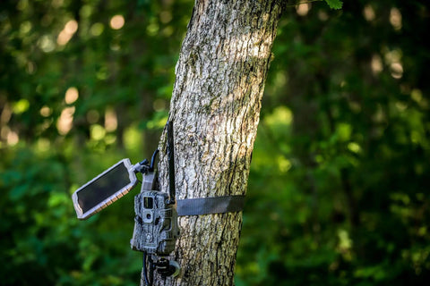 Trail camera with Durable Sol Pak Solar Battery Pack For Trail Cameras 12V Solar Panel Rechargeable 3000mAh Li Ion Battery 10Ft Cable