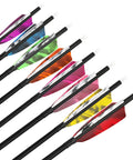 Six Or Twelve Pack Carbon Arrows 500 Spine With 4 Inch Turkey Feather Fletching, 28, 30, 31 Inch Lengths, colorful feathers shown