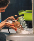 Person using Cordless Electric Pressure Washer With 24V Battery, Charger, And Adjustable Nozzle, 1.5 GPM, 90W Motor on dog