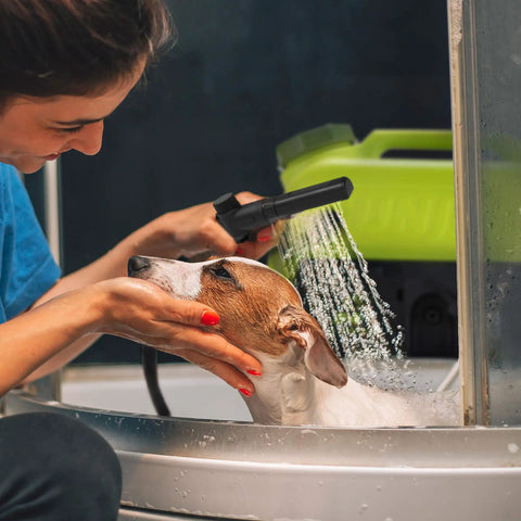 Person using Cordless Electric Pressure Washer With 24V Battery, Charger, And Adjustable Nozzle, 1.5 GPM, 90W Motor on dog