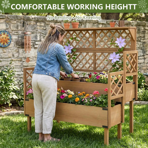 Two Tier Raised Garden Bed With Trellis And Lattice Back For Climbing Plants Wooden Outdoor Planter For Vegetables Herbs And Flowers Modern Minimal Design For Patio Balcony Or Backyard in use by a gardener outdoors.