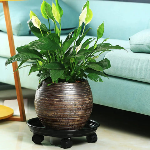 6 Pack Heavy Duty Plant Caddies With Wheels, Smooth Rolling Plant Dollies For Indoor Outdoor Potted Plants, Sturdy Black Plastic Saucers With Glide Casters, Straight Up Elevate Your Space with potted plant.