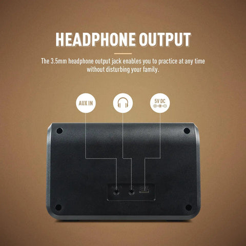 Back panel of Beast 10W Mini Guitar Amp For Bedroom Practice Portable All-In-One Bluetooth Amp showing headphone output and Aux In ports.
