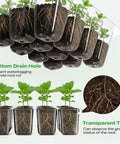 Transparent tray with seedlings showing roots, part of 4 Pack Seed Starter Tray With Self Heating And Humidity Control Domes For Indoor Gardening.
