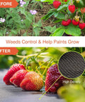Before and after image showing Heavy Duty Weed Barrier Landscape Fabric 3 Foot By 100 Foot Premium Permeable Ground Cover in use.
