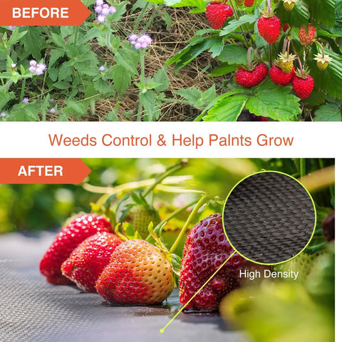 Before and after image showing Heavy Duty Weed Barrier Landscape Fabric 3 Foot By 100 Foot Premium Permeable Ground Cover in use.