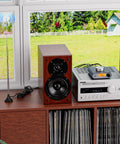 S5000 FM Radio Receiver With Si4730 Chip, Bluetooth And AUX In on a shelf next to a speaker and vinyl records, antenna by window.