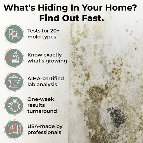 Infographic showing benefits of Mold Test Kit With Lab Fees Included No Surprises For Home Use Detects 20 Plus Mold Types And Pollen Easy To Follow Guide