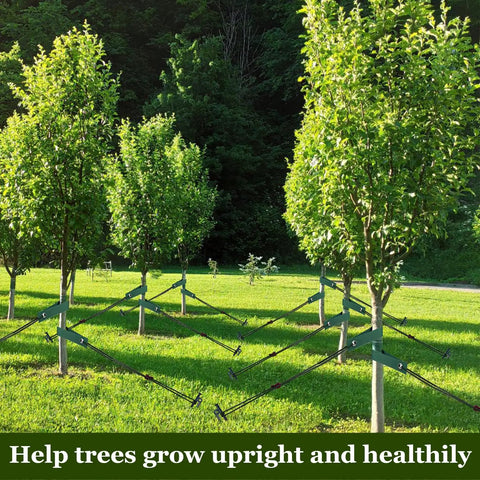 Heavy Duty Tree Stake Kit With 3 Straps, 3 Steel Spikes, And 39 Ft Rope for Young Trees installed in a garden setting
