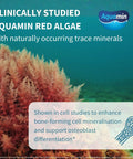 Image showing clinically studied Aquamin red algae with text highlighting naturally occurring trace minerals for bone health.