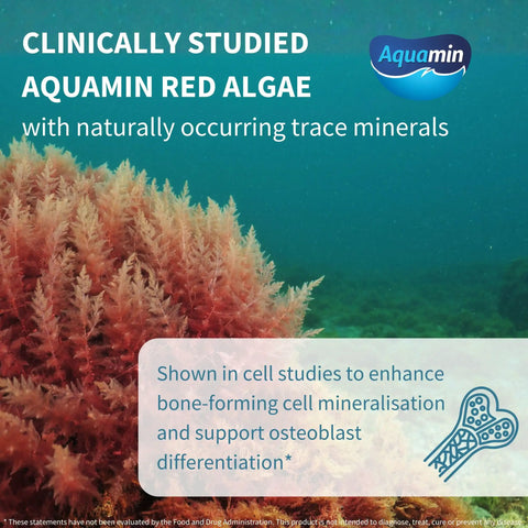 Image showing clinically studied Aquamin red algae with text highlighting naturally occurring trace minerals for bone health.