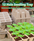120 Cell Seed Starter Tray Kit For Indoor Gardens With Biodegradable Peat Pots 10 Pack 100 Labels And Easy Plant Starter Kit, seedlings growing in biodegradable pots.
