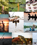 Collage of outdoor fishing scenes including casting, a caught fish, and frog lures similar to Five Piece Topwater Frog Lures Set For Freshwater Fishing Catch Bass And More Ray Frog Soft Baits In White Black Green Yellow Includes 3 Large 6cm And 2 Small 5cm Lures Weedless Bass Pike Snakehead Musky Baits With Tackle Box.