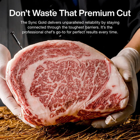 Wireless WiFi Meat Thermometer With Dual Probes measuring marbled meat on cutting board for reliable readings