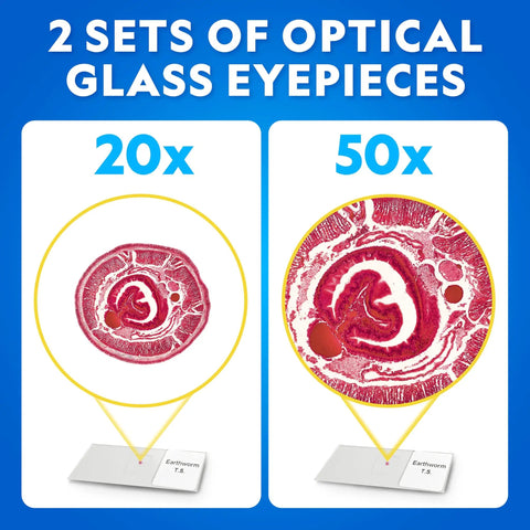 Dual LED Kids Microscope Set With 50 Plus Piece Science Kit showing 20x and 50x magnification of earthworm tissue slides, Amazon Exclusive.