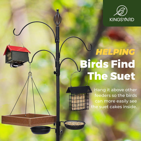 Double Upside Down Suet Feeder With Weatherproof Roof All Metal Outdoor Hanging Bird Feeder