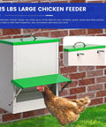 Heavy Duty Metal Chicken Feeder For Backyards, 25 lb capacity, green top, mounted on wall for easy access, suitable for ducks and quails.