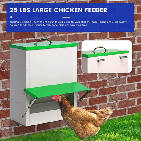 Heavy Duty Metal Chicken Feeder For Backyards, 25 lb capacity, green top, mounted on wall for easy access, suitable for ducks and quails.