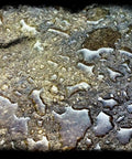 Water droplets on a concrete surface showcasing Heavy Hitter Water Repellent Concrete Sealer Boasting A Natural Matte Finish Water Based Low Voc Formula For Driveways And Patios Drops Ultimate Storm Shield Protection Without Gunky Shiny Buildup Inside A Chunky Five Gallon Container.