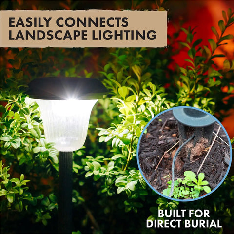 Low Voltage Landscape Wire 12 Gauge Two Wire Black, 250 Foot Outdoor Cable for Garden Lighting installed with landscape light