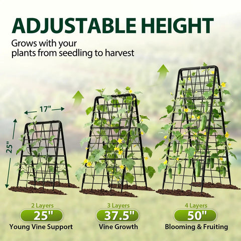Heavy Duty 2 Pack Adjustable A Frame Trellis For Climbing Plants showing adjustable height for vine support and growth stages.