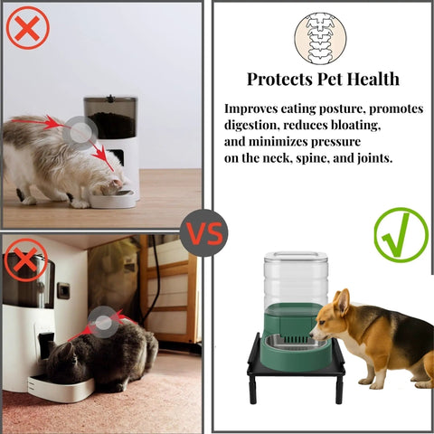 Built Tough Metal Elevated Pet Feeder Stand With Easy Adjust Height, Straight Up Sturdy Base Rack For Auto Dog Water Jugs And Cat Bowls Designed For Small And Medium Pups And Kitty Folks showing proper eating posture.